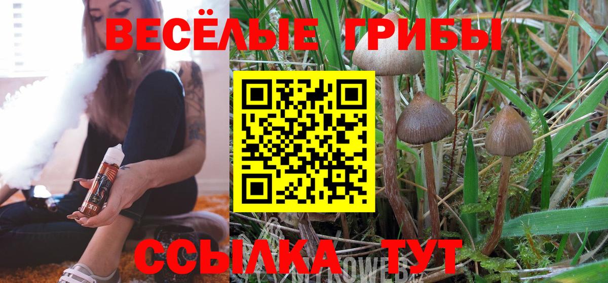 Галлюциногенные грибы Psilocybe Зеленодольск
