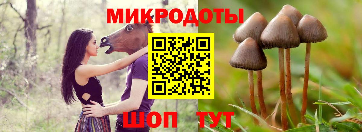 Зеленодольск  Галлюциногенные грибы мицелий  магазин    Вход с VPN  Псилоцибиновые грибы мицелий 
